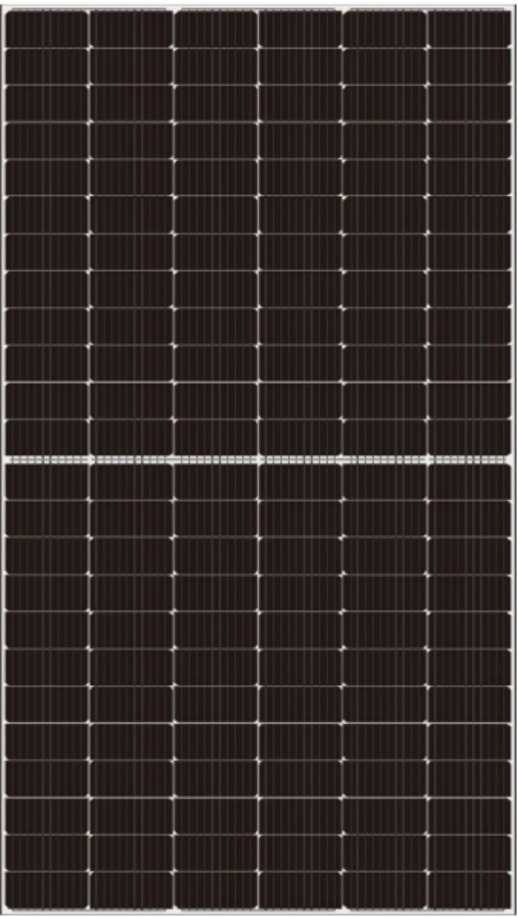SW600TNH Monofacial Module